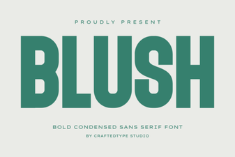 Blush Font: Elegant Script for Modern Designs